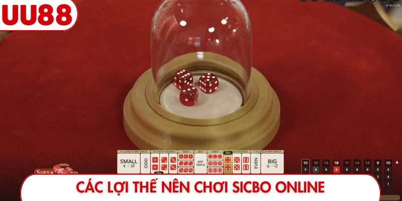 Sicbo UU88 - Cuộc Khuấy Đảo Những Viên Xúc Xắc 6 Mặt - luckyfrontier