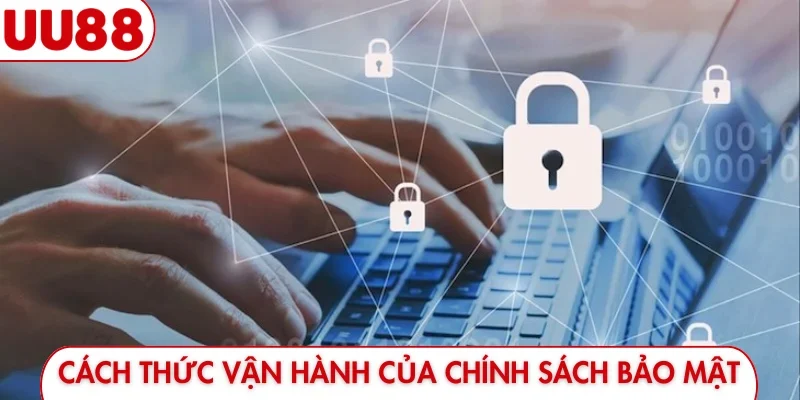 Xem Ngay 5 Chính Sách Bảo Mật UU88 - Bảo Vệ Quyền Lợi - luckyfrontier