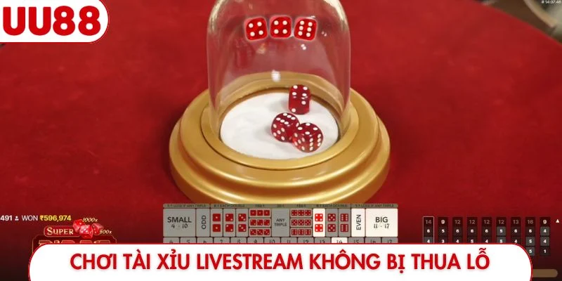 Tài Xỉu Livestream - Trải Nghiệm Cùng Dàn Dealer Nóng Bỏng - luckyfrontier