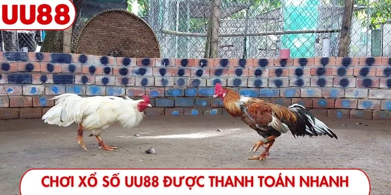 Xổ Số UU88 - Tips Tìm Thấy Những Con Số May Mắn Mỗi Ngày - luckyfrontier