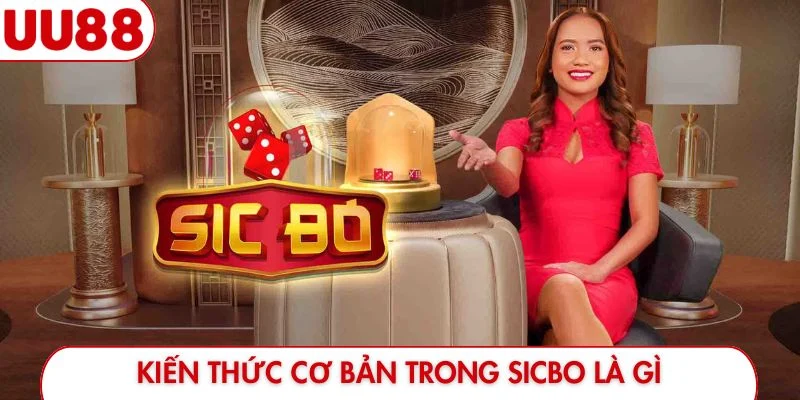Sicbo UU88 - Cuộc Khuấy Đảo Những Viên Xúc Xắc 6 Mặt - luckyfrontier