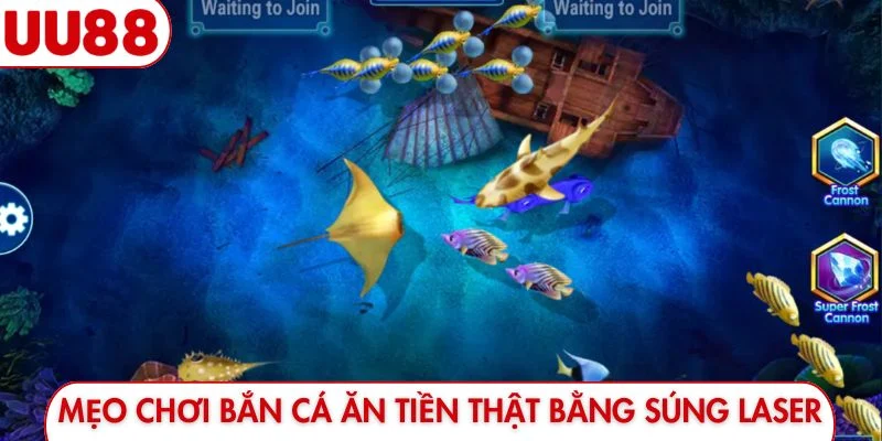Mẹo Chơi Bắn Cá Ăn Tiền Thật - Thuật Săn Thưởng Độc Lạ - luckyfrontier